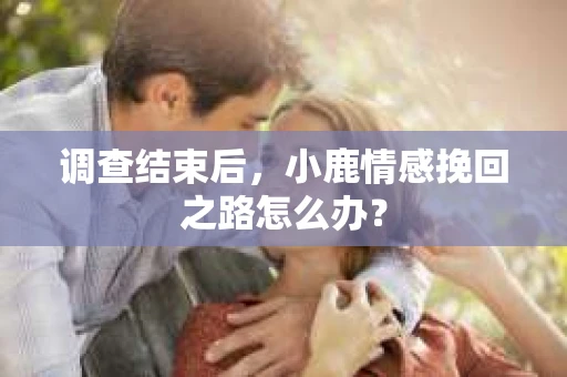 调查结束后，小鹿情感挽回之路怎么办？