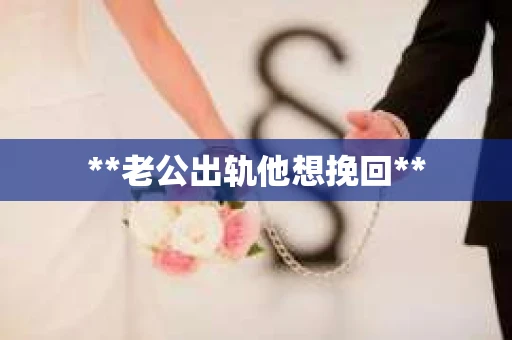**老公出轨他想挽回**