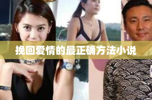挽回爱情的最正确方法小说