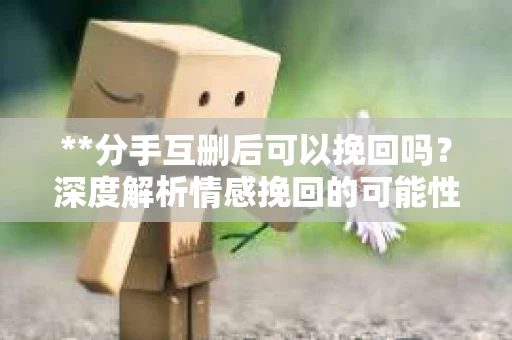 **分手互删后可以挽回吗？深度解析情感挽回的可能性**