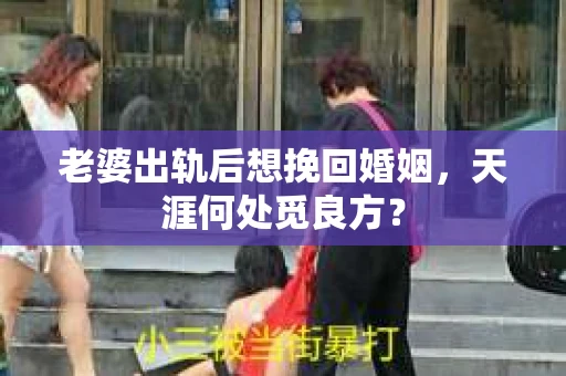 老婆出轨后想挽回婚姻，天涯何处觅良方？