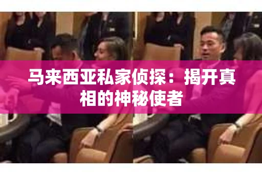 马来西亚私家侦探：揭开真相的神秘使者