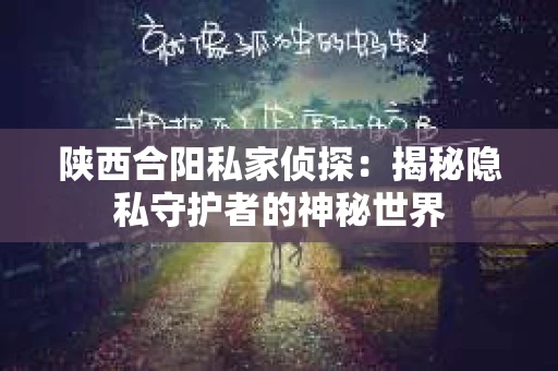陕西合阳私家侦探：揭秘隐私守护者的神秘世界