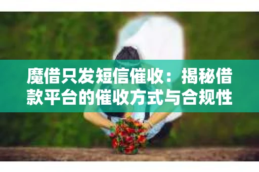 魔借只发短信催收：揭秘借款平台的催收方式与合规性