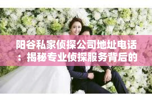 阳谷私家侦探公司地址电话：揭秘专业侦探服务背后的故事