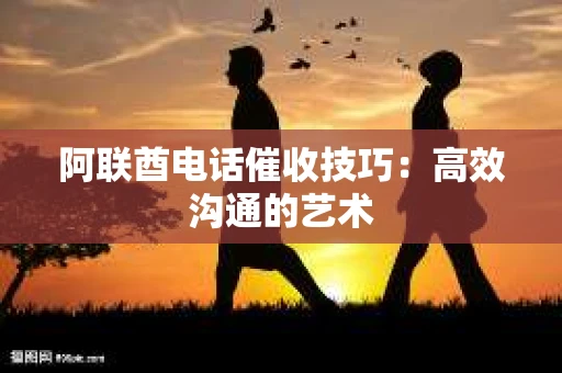 阿联酋电话催收技巧：高效沟通的艺术