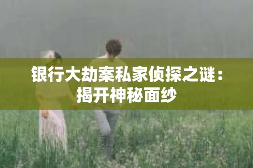 银行大劫案私家侦探之谜：揭开神秘面纱