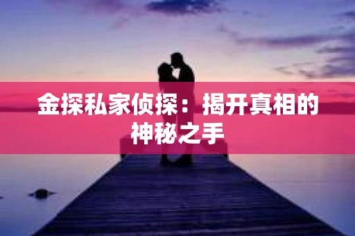 金探私家侦探：揭开真相的神秘之手