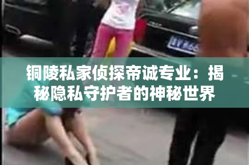 铜陵私家侦探帝诚专业：揭秘隐私守护者的神秘世界