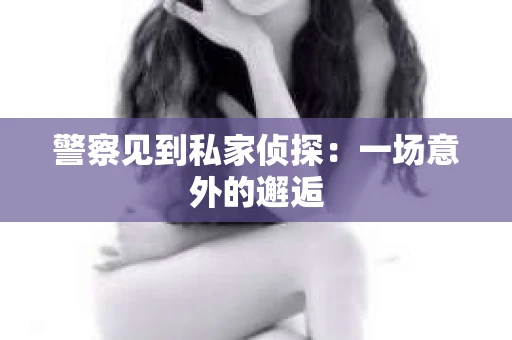 警察见到私家侦探：一场意外的邂逅