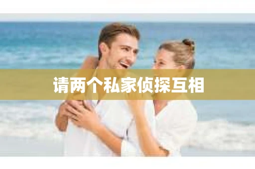 请两个私家侦探互相