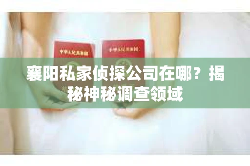 襄阳私家侦探公司在哪？揭秘神秘调查领域