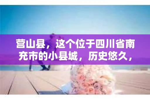 营山县，这个位于四川省南充市的小县城，历史悠久，风景秀丽。但在这个宁静的小县城里，你是否会好奇，有没有私家侦探的存在呢？今天，我就来和大家聊聊这个话题。
