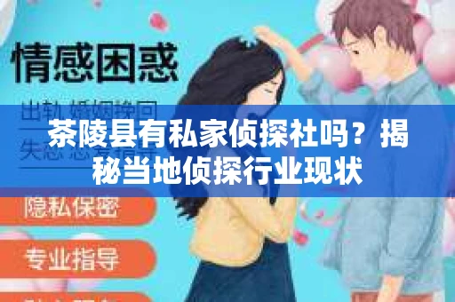 茶陵县有私家侦探社吗？揭秘当地侦探行业现状