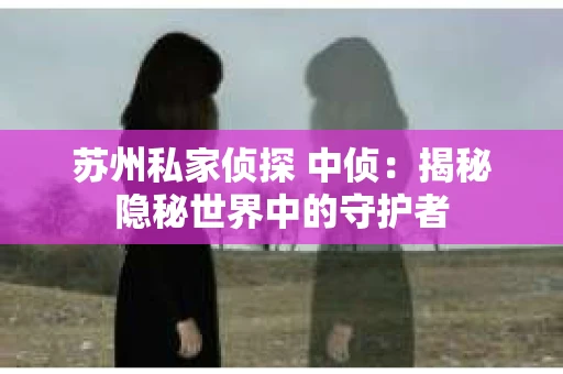 苏州私家侦探 中侦：揭秘隐秘世界中的守护者