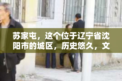 苏家屯，这个位于辽宁省沈阳市的城区，历史悠久，文化底蕴深厚。近年来，随着社会的发展，人们对于私家侦探的需求也逐渐增加。那么，苏家屯有私家侦探吗？今天，我们就来聊聊这个话题。