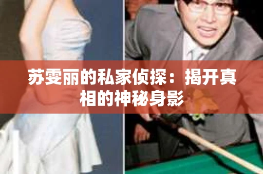 苏雯丽的私家侦探：揭开真相的神秘身影