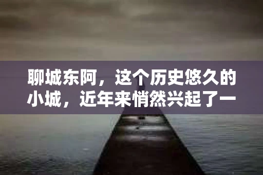 聊城东阿，这个历史悠久的小城，近年来悄然兴起了一股新的服务潮流——私家侦探。今天，我们就来聊聊这个话题，看看在聊城东阿，私家侦探是如何成为人们生活中的一部分的。