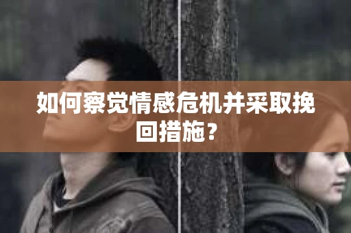 如何察觉情感危机并采取挽回措施? 如何察觉情感危机并采取挽回措施?