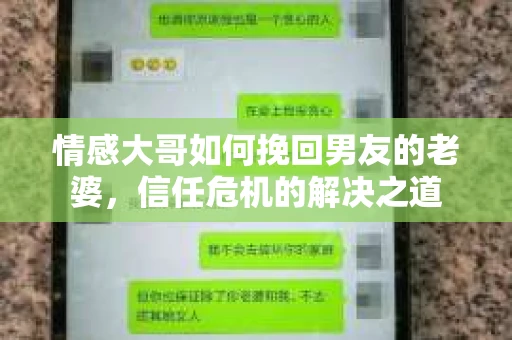 情感大哥如何挽回男友的老婆，信任危机的解决之道
