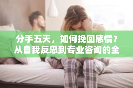 分手五天，如何挽回感情？从自我反思到专业咨询的全面解决方案