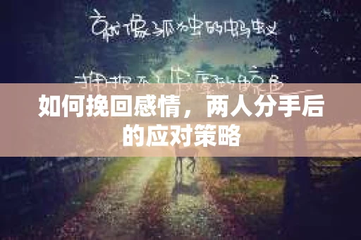 如何挽回感情,两人分手后的应对策略 如何挽回感情,两人分手后的应对策略