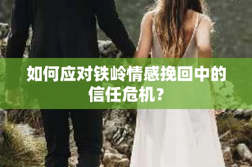 如何应对铁岭情感挽回中的信任危机？
